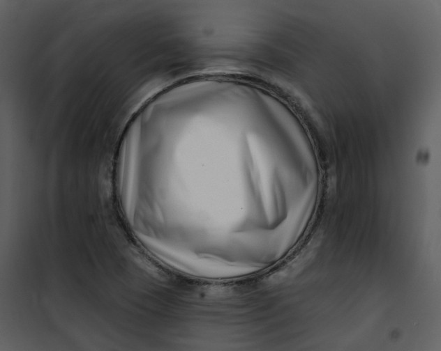 X0000101181409200807181437