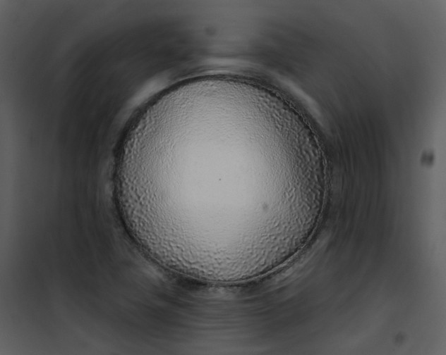 X0000101181411200807181437