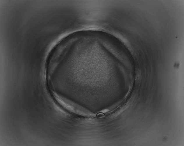 X0000101181414200807181437