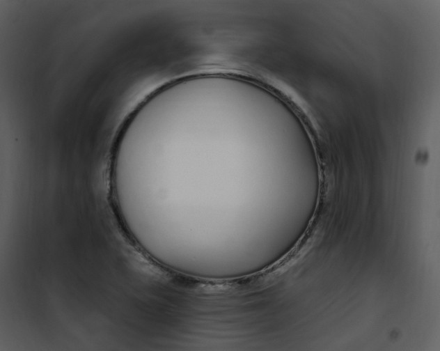 X0000101181415200807181437