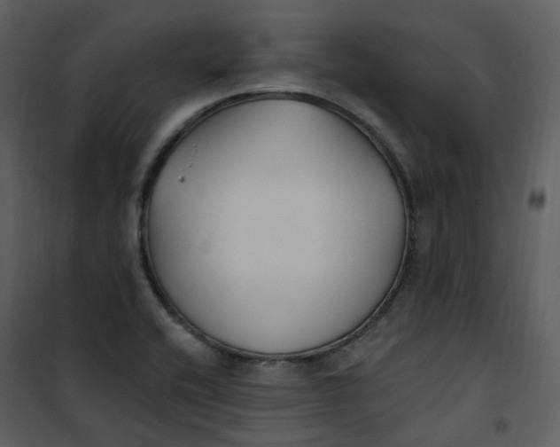 X0000101181416200807181437