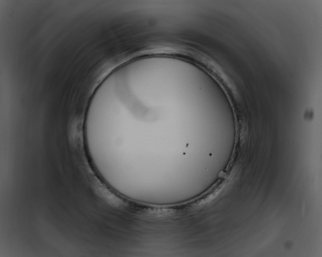 X0000101181417200807181437