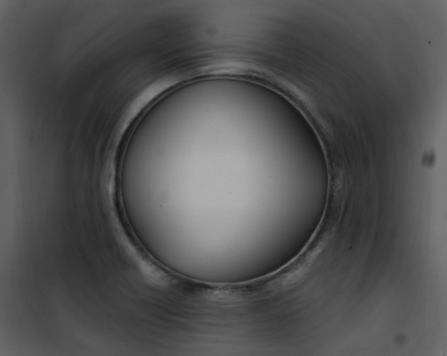 X0000101181418200807181437