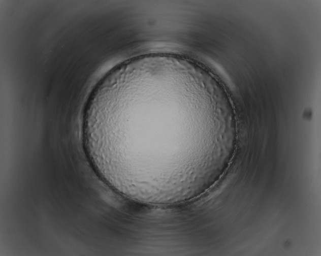 X0000101181419200807181437