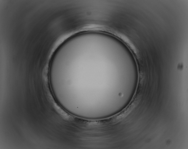 X0000101181421200807181437