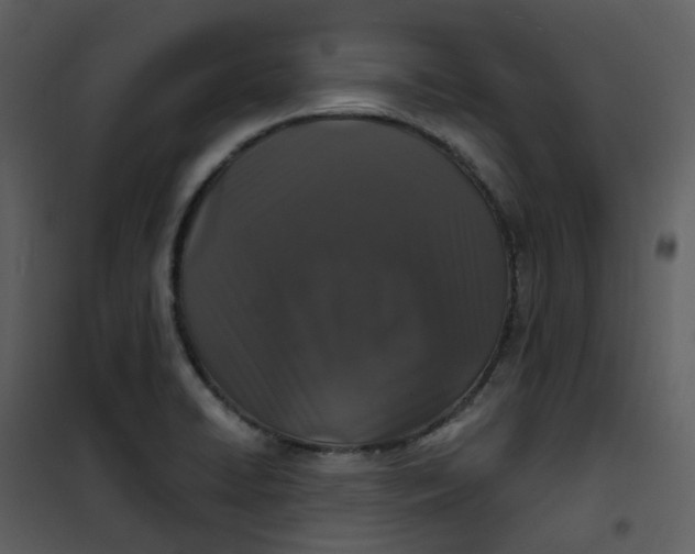 X0000101181422200807181437