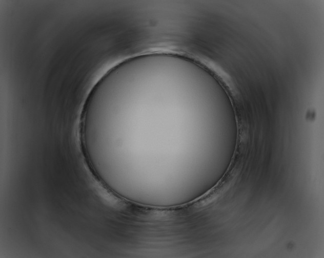 X0000101181423200807181437