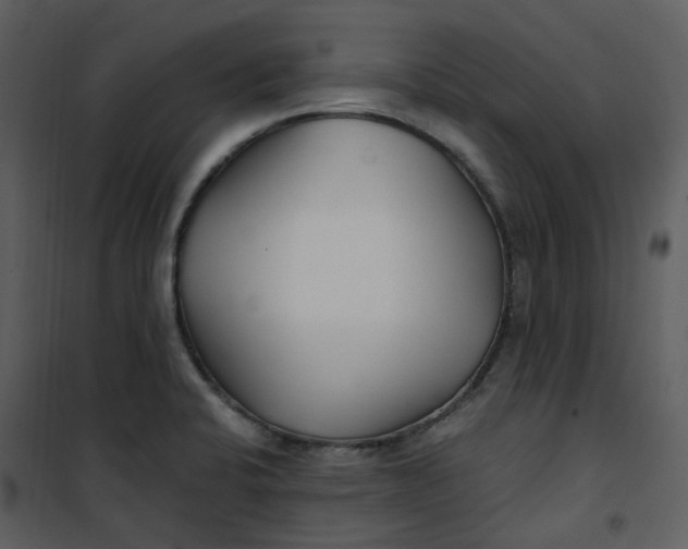 X0000101181424200807181437