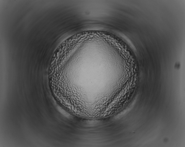 X0000101181425200807181437