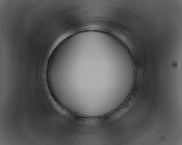 X0000101181426200807181437