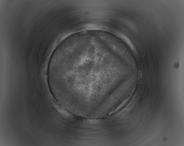 X0000101181427200807181437