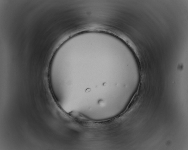 X0000101181429200807181437