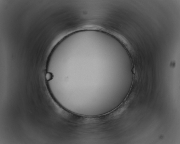 X0000101181430200807181437