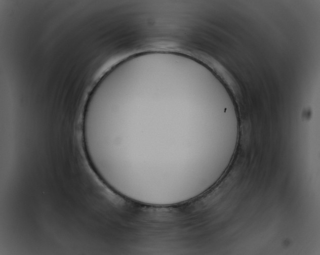 X0000101181432200807181437