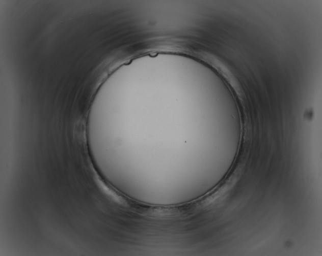 X0000101181433200807181437