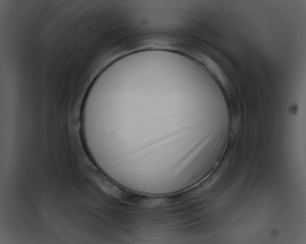 X0000101181435200807181437