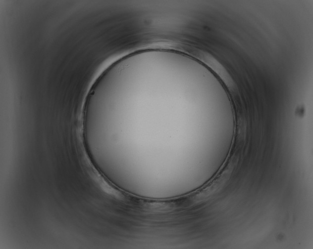 X0000101181436200807181437