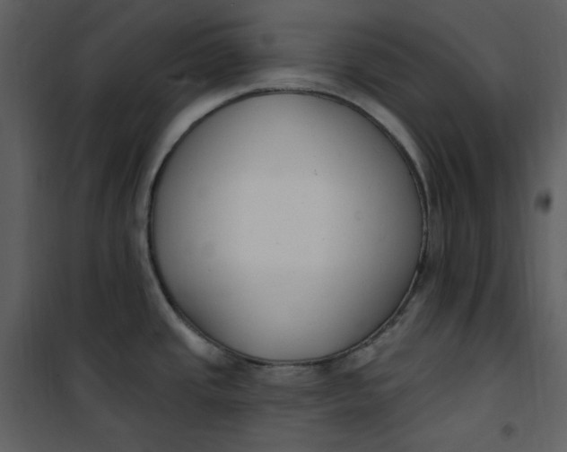 X0000101181437200807181437