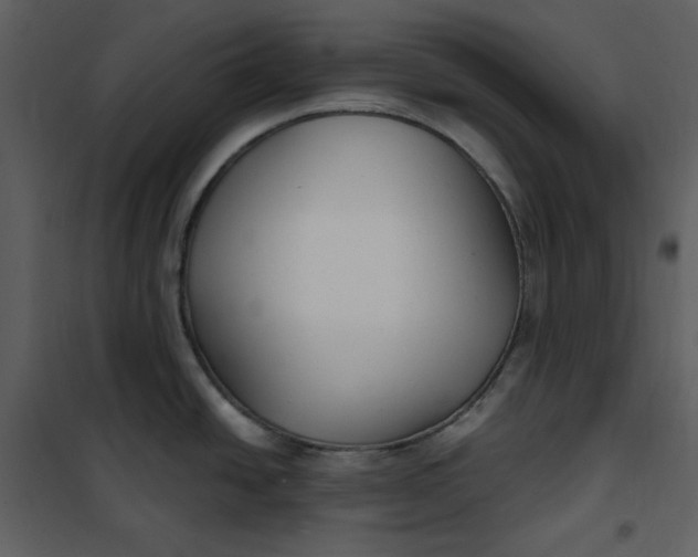 X0000101181438200807181437