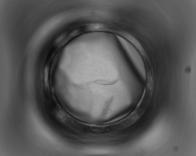 X0000101181439200807181437