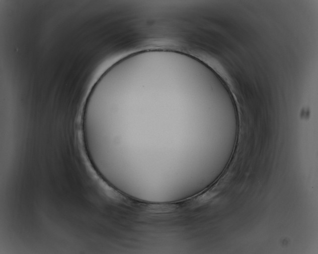 X0000101181440200807181437