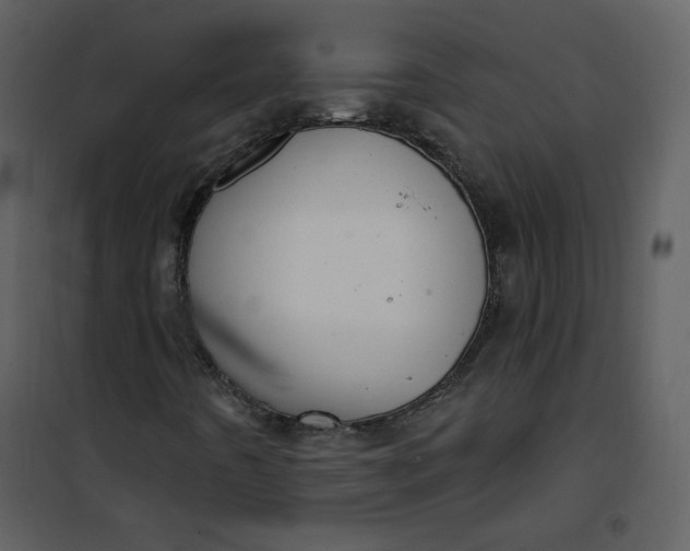 X0000101181442200807181436