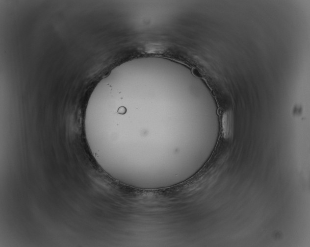 X0000101181443200807181436