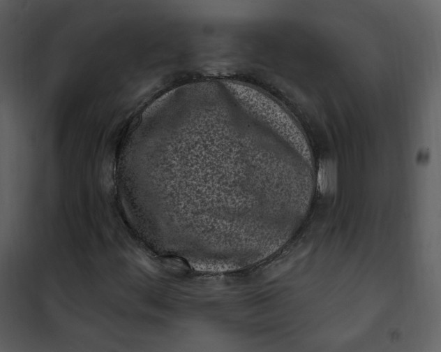 X0000101181444200807181436