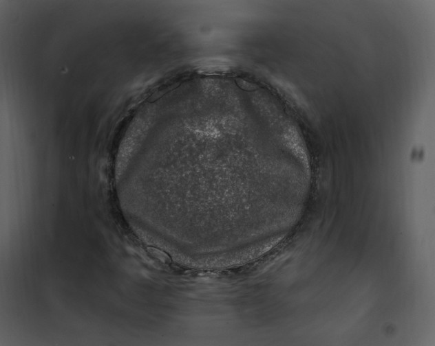 X0000101181445200807181436