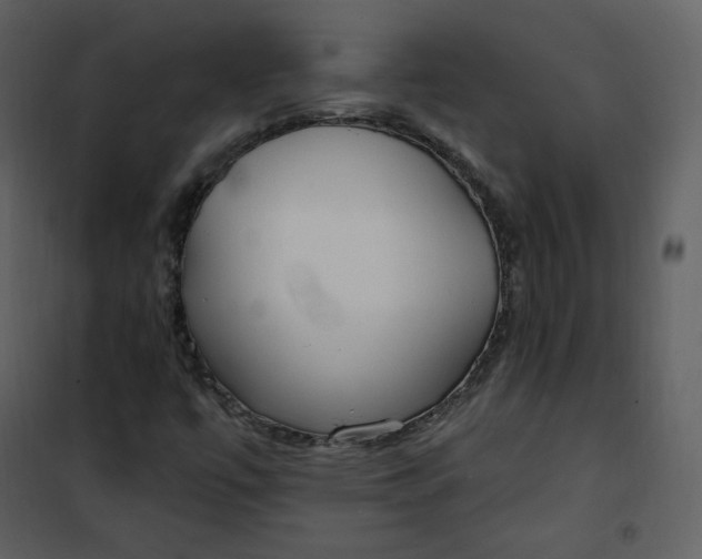 X0000101181447200807181436