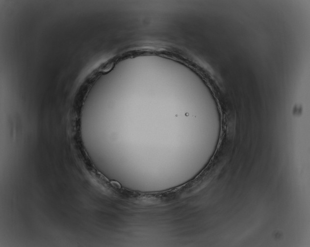 X0000101181448200807181436