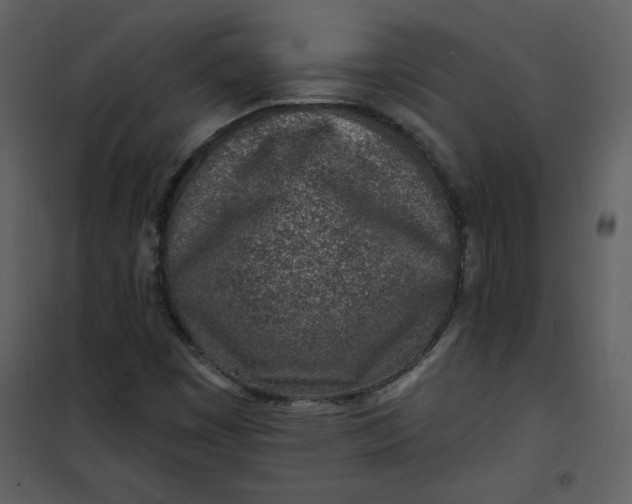 X0000101181449200807181436