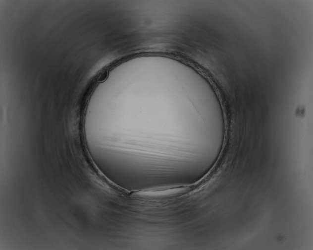 X0000101181450200807181436