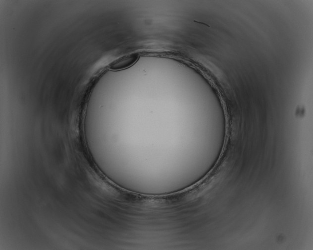 X0000101181451200807181436