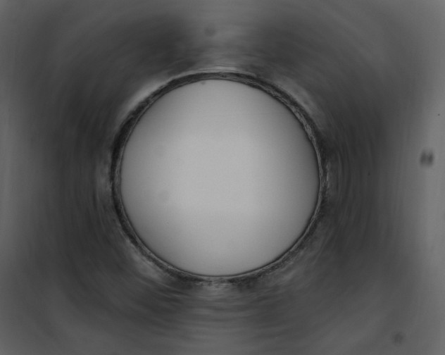 X0000101181452200807181436