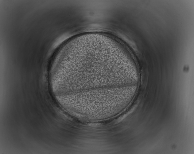 X0000101181453200807181436