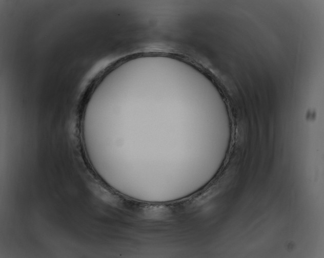 X0000101181454200807181436