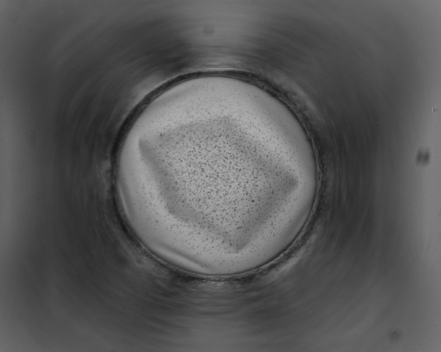 X0000101181457200807181436