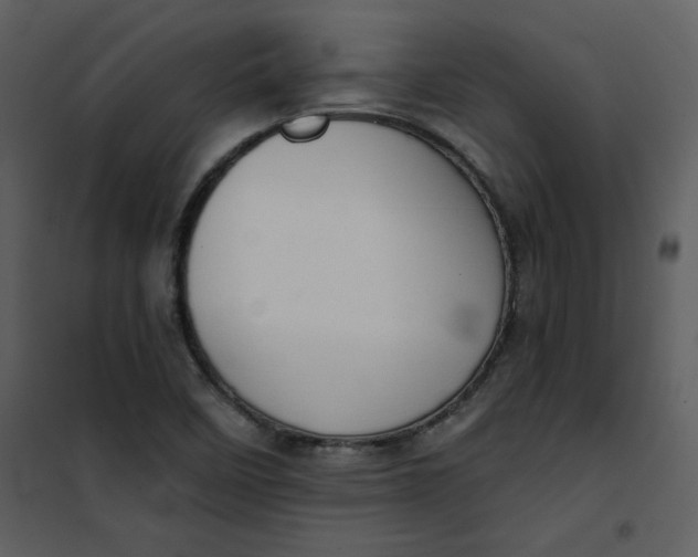 X0000101181458200807181436