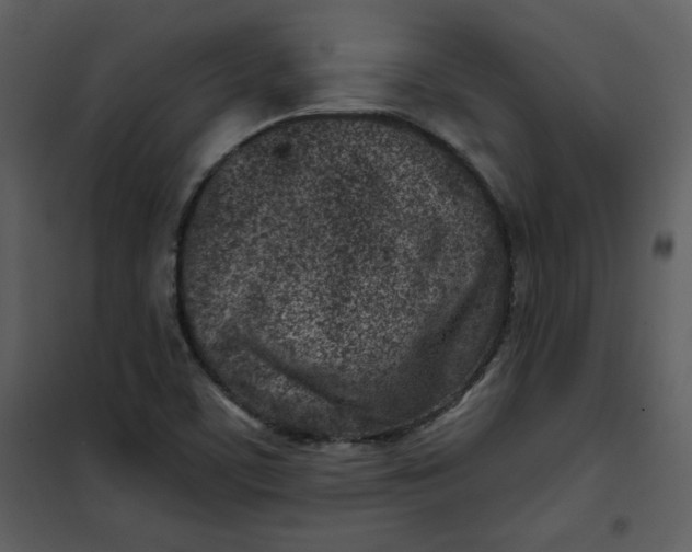 X0000101181459200807181436