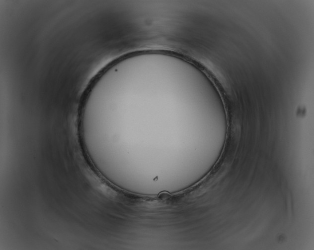 X0000101181460200807181436