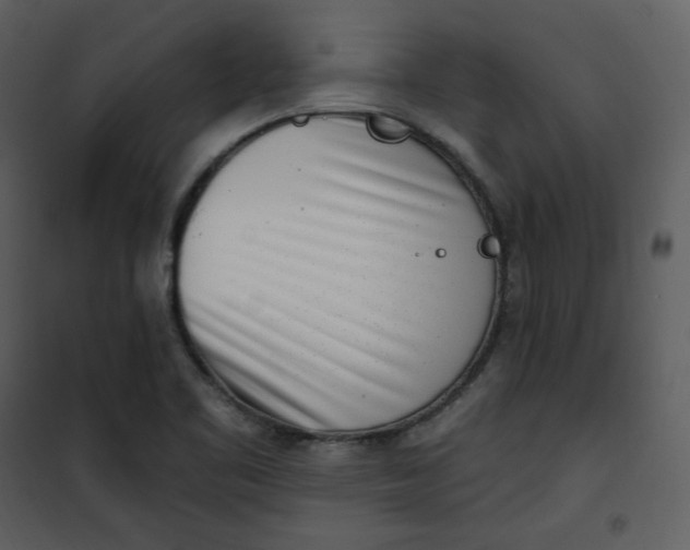 X0000101181461200807181436