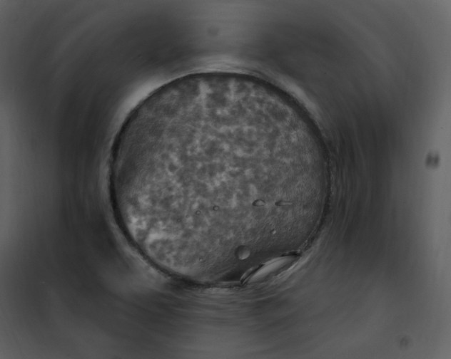 X0000101181463200807181436