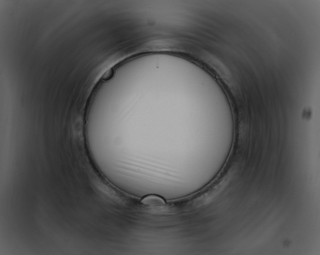 X0000101181465200807181436