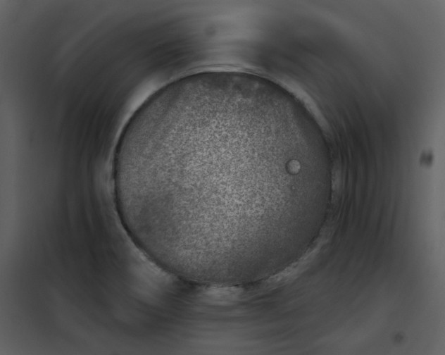 X0000101181466200807181436