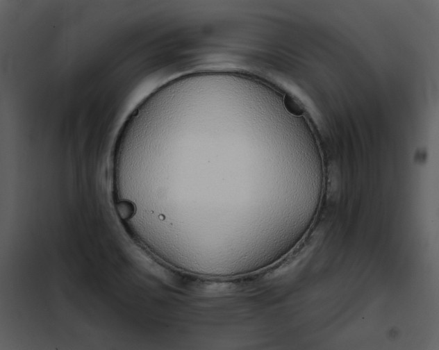 X0000101181467200807181436