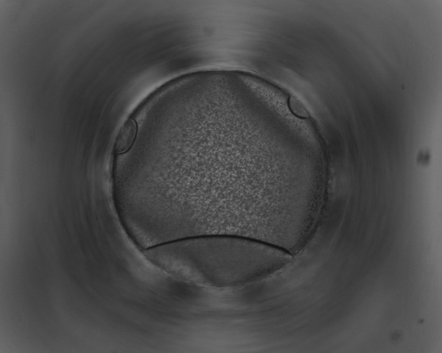 X0000101181468200807181436