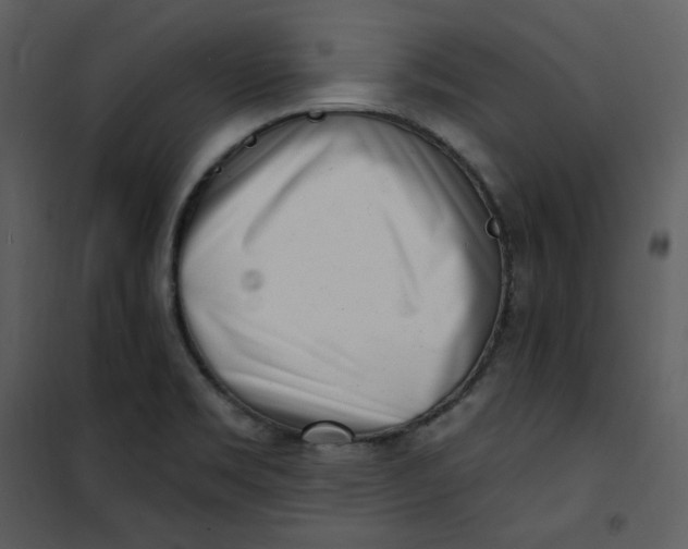 X0000101181469200807181436