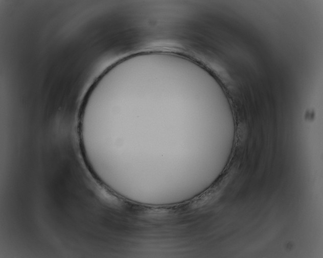 X0000101181470200807181436