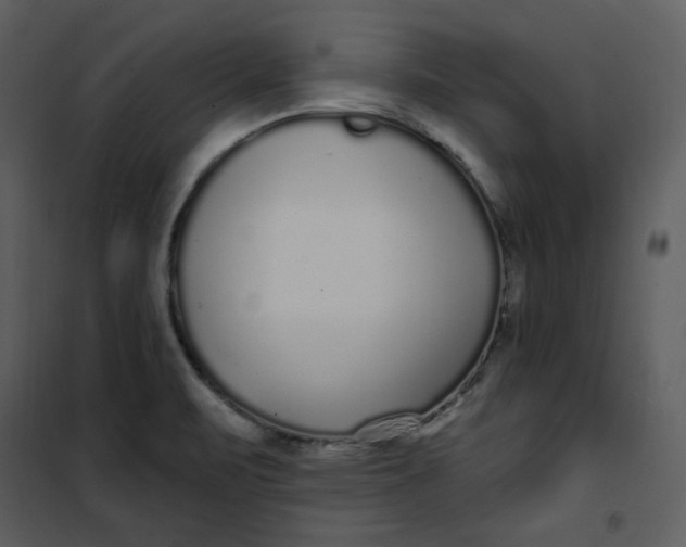 X0000101181471200807181436